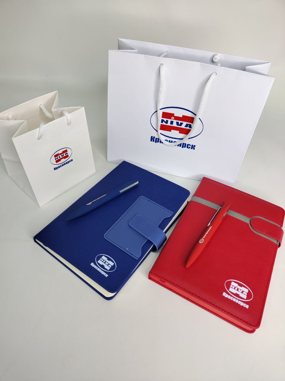Вариант делового подарочного набора в фирменном бумажном пакете