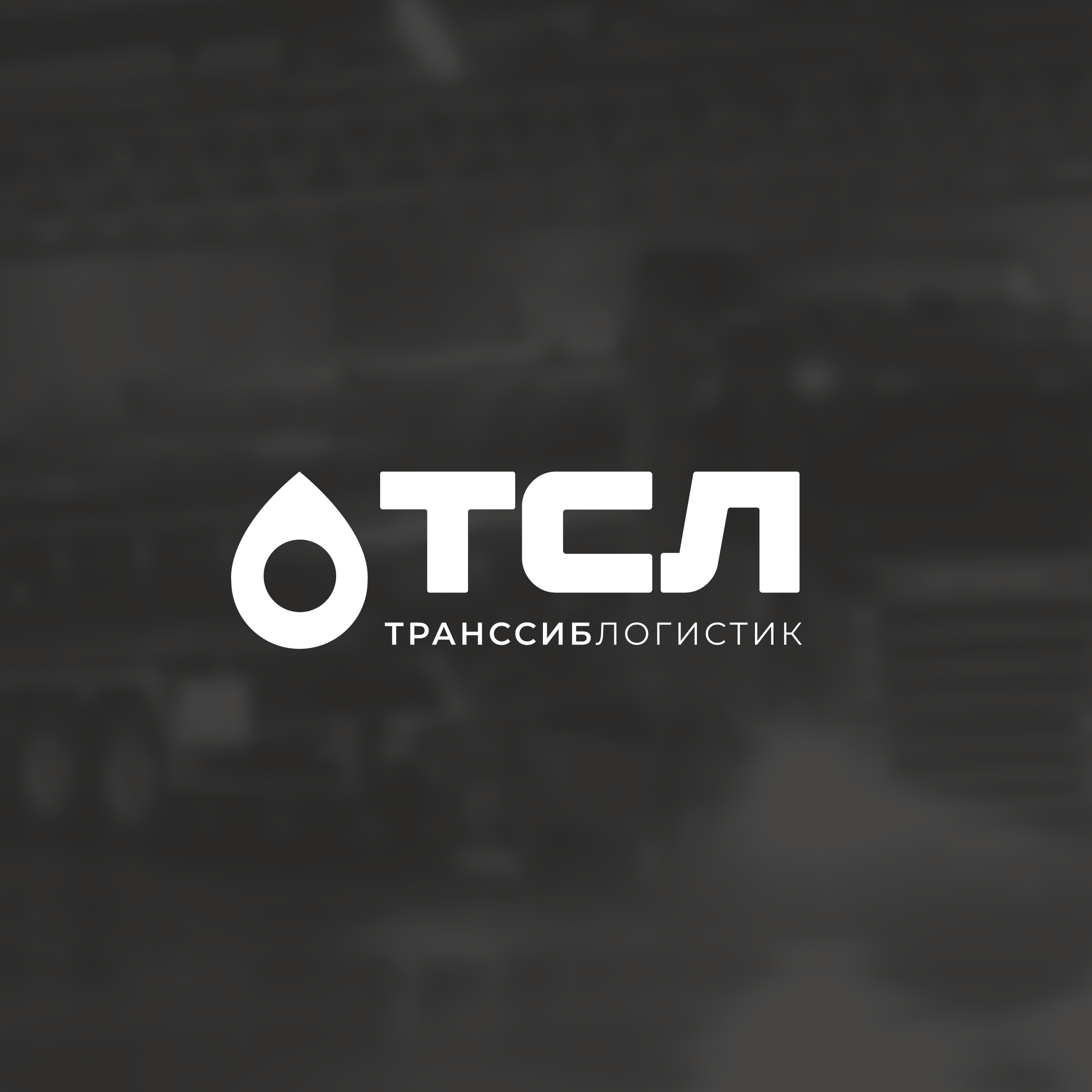 Фирменный стиль для транспортной компании "ТрансСибЛогистик"